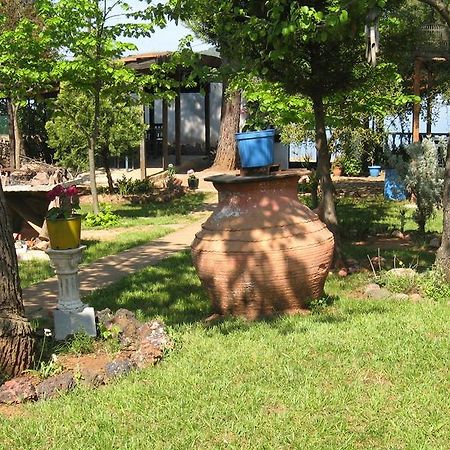 Ayvalik Dostlar Pansiyon Apartment Екстериор снимка