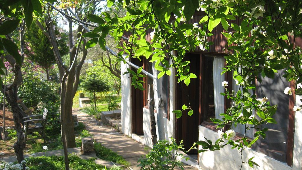 Ayvalik Dostlar Pansiyon Apartment Стая снимка