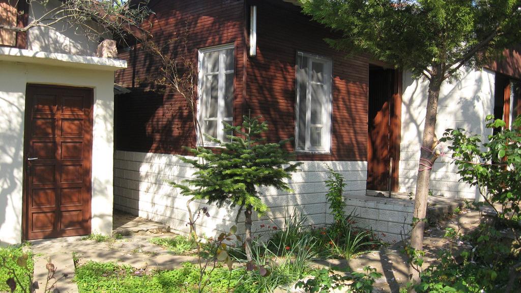 Ayvalik Dostlar Pansiyon Apartment Стая снимка