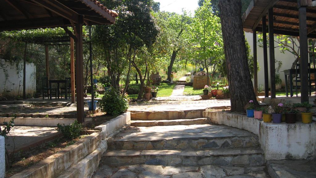 Ayvalik Dostlar Pansiyon Apartment Екстериор снимка